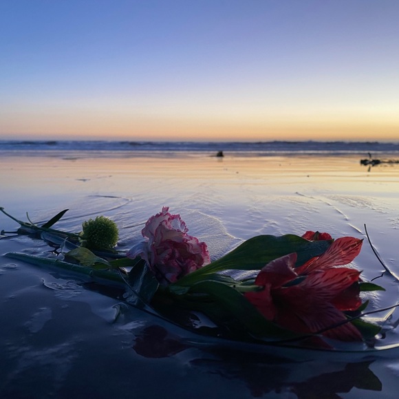 Meet your Posher, AMI - Picture 7 of 15